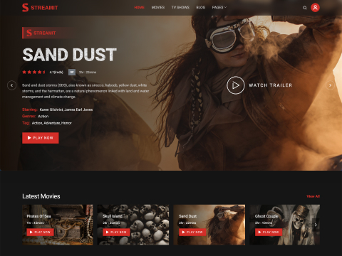 Streamit - Netflix Video Streaming WordPress Theme